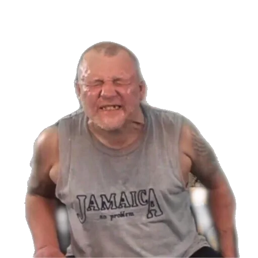 Sticker Mopsihii - 1