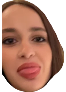 Стикер mops_lizun - 1