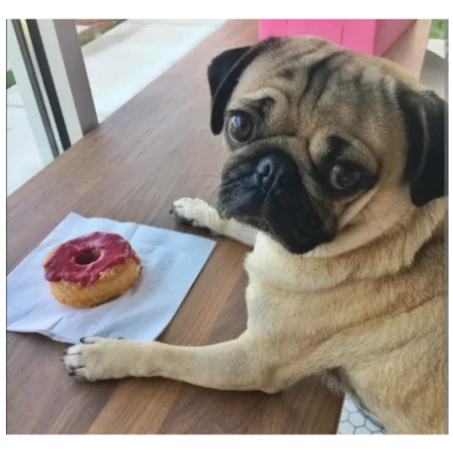 Стикер MopsyLudshie - 1