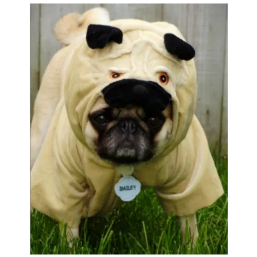 Стикер MopsyLudshie - 1