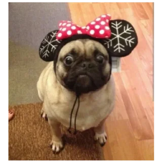 Sticker Мопсы лудшие - 7