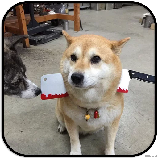 Sticker DogS @IMG2D - 11