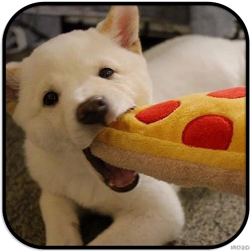 Sticker DogS @IMG2D - 10