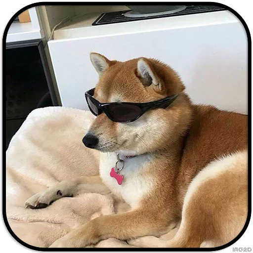 Sticker DogS @IMG2D - 0