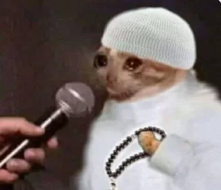 Sticker Morteza Pack @Developer_Http - 7