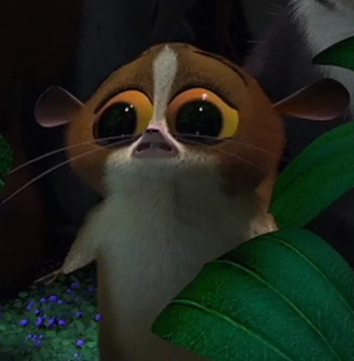 animal mammal indoor