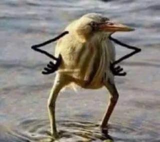 Стикер MRC - 11