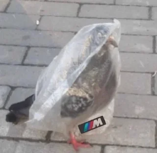 Стикер MRC - 5