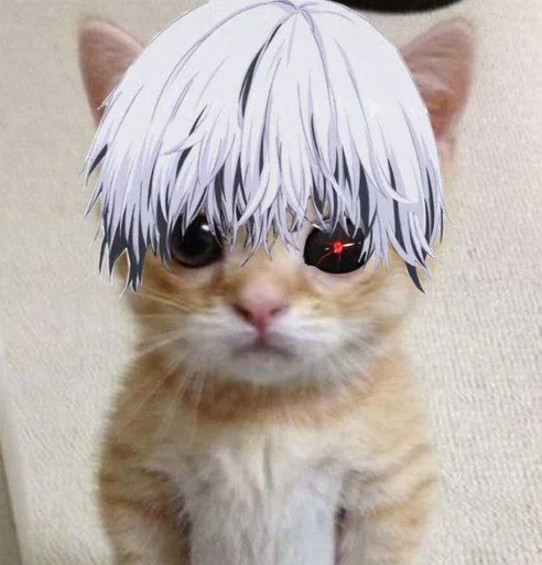 Стикер кот. :: @fStikBot - 9