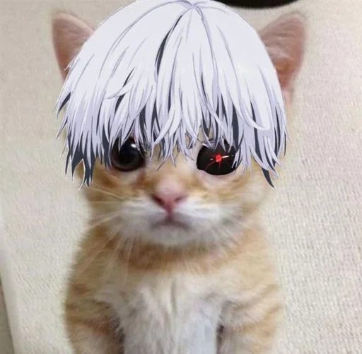 Стикер кот. :: @fStikBot - 6