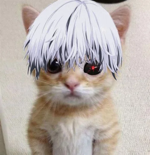 Стикер кот. :: @fStikBot - 4