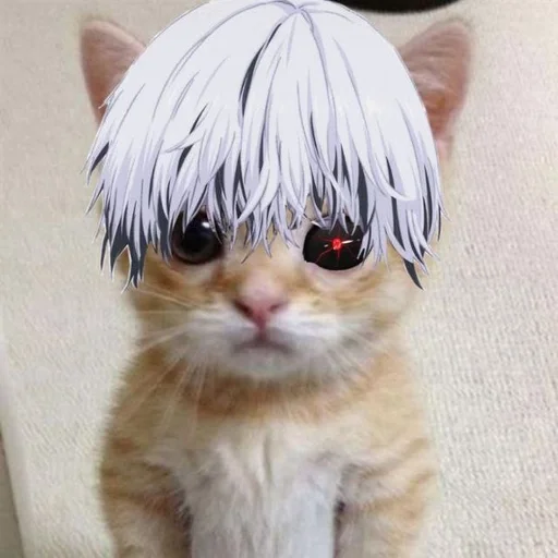 Стикер кот. :: @fStikBot - 3