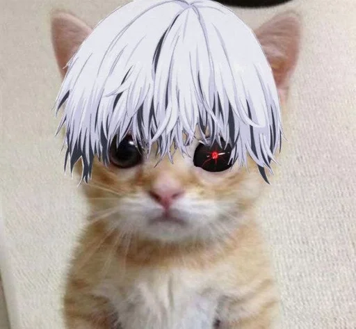 Стикер кот. :: @fStikBot - 2