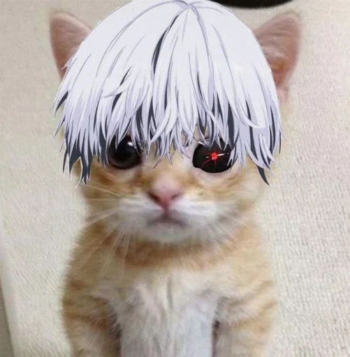 Стикер кот. :: @fStikBot - 1