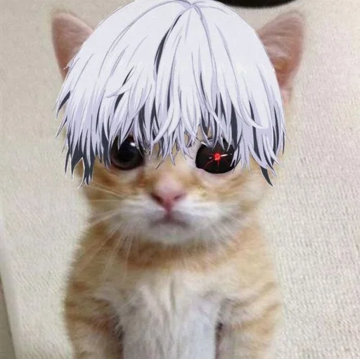 Стикер кот. :: @fStikBot - 0