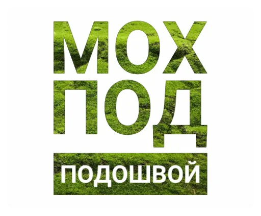 СМС шрифт графика