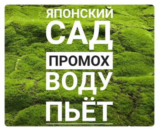 СМС зеленый скриншот