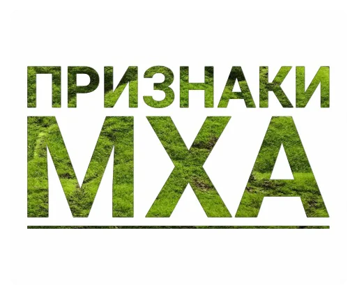 СМС шрифт прямоугольник