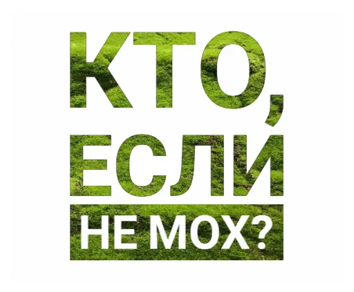 СМС шрифт графика