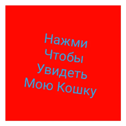 Моя кошка мося - 