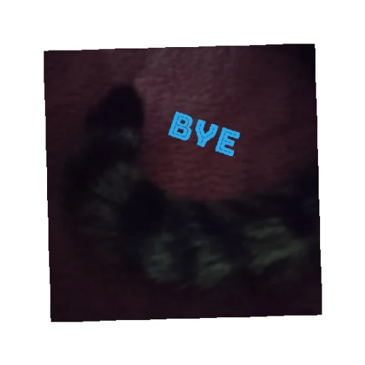 Sticker MoyaKoshkaMosya - 1