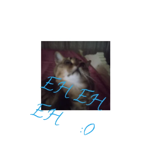 Sticker MoyaKoshkaMosya - 1