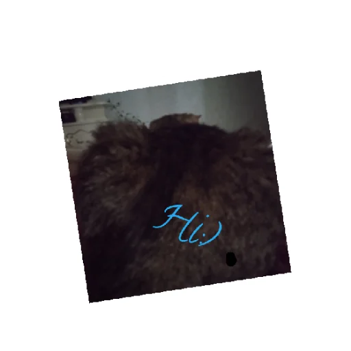 Sticker MoyaKoshkaMosya - 1