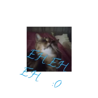 Стикер Моя кошка мося - 3