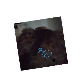 Стикер Моя кошка мося - 1