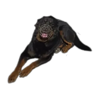 Стикер Мята - 8