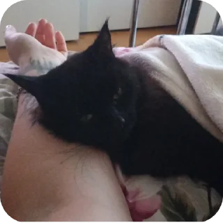 Стикер Мята - 1