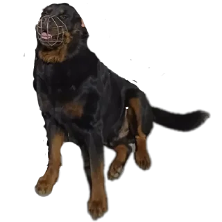 Стикер Мята - 4