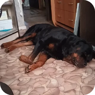 Стикер Мята - 3