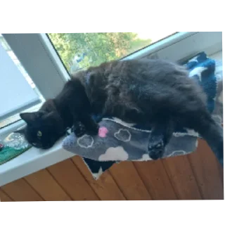 Стикер Мята - 5