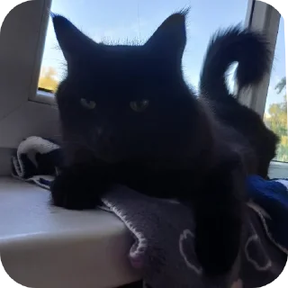 Стикер Мята - 10