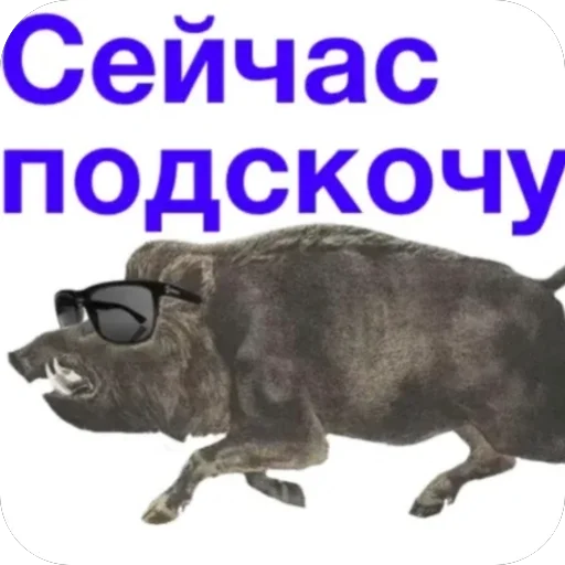 Моё - 