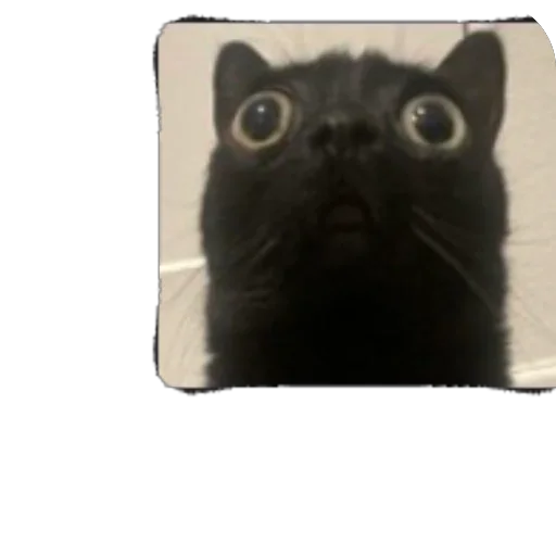 Sticker Moyo9514 - 1