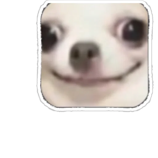 Антон за 300 - 