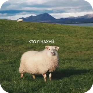 Стикер Антон за 300 - 2