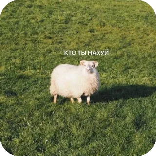 Стикер Антон за 300 - 7