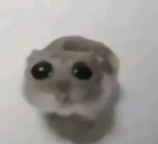 Стикер Збережені • @sticbot - 1