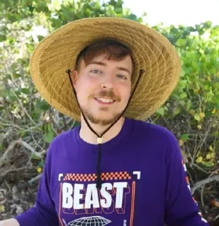 Sticker Mr Beast • @TgStickery - 7