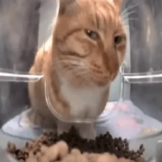 Стикер Мистер Фреш - 0