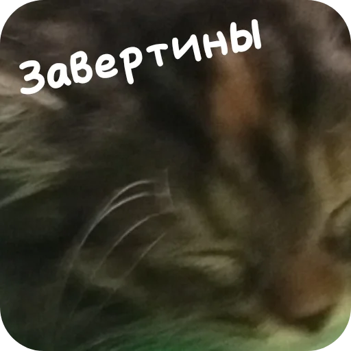 Sticker MrOuster - 1