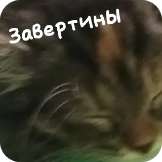 Стикер @MrOuster - 5