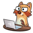 Стикер Mr. Raccoon - 11