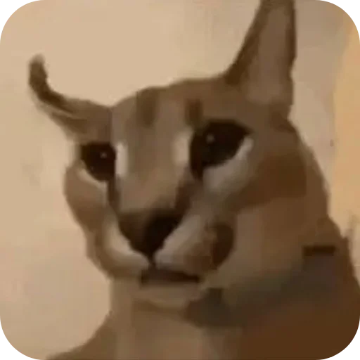 Стикер MrShlipsa - 1