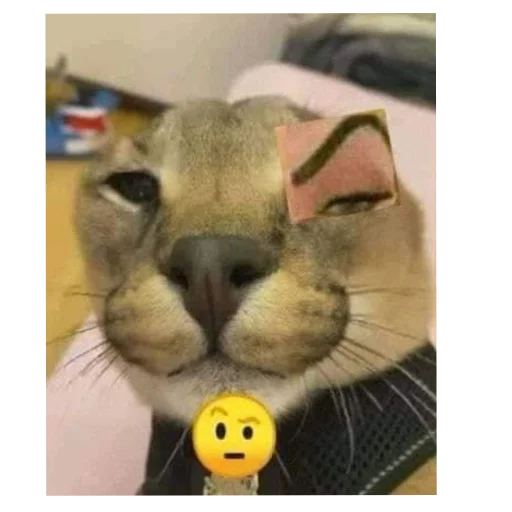 Стикер MrShlipsa - 1