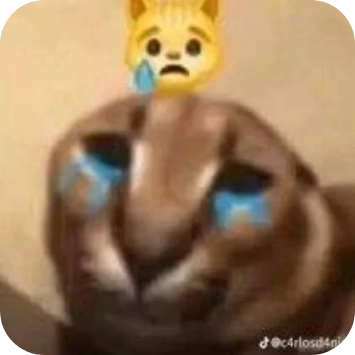 Стикер MrShlipsa - 1