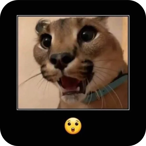 Sticker MrShlipsa - 1